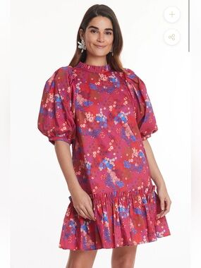 Tyler Boe Sammy Wild Flowers Dress Multi Size XL